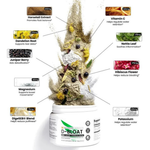 D-BLOAT Daily Powder
